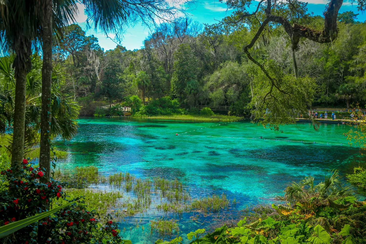 Crystal River Springs